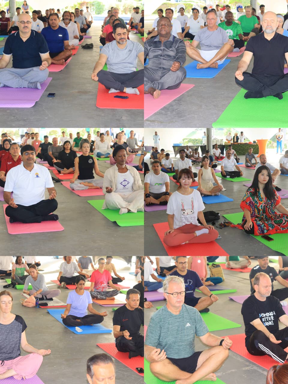 Pre-IDY for Ambassadors, High Commissioners and Diplomats accredited to Tanzania (07 June 2026) – photo 4